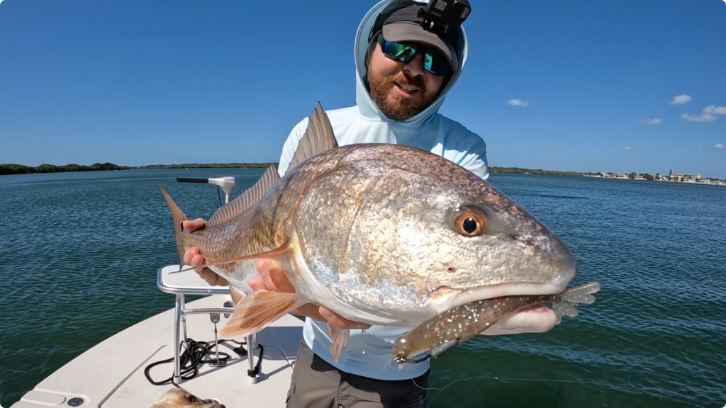 power prawn usa for redfish