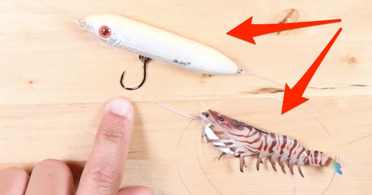 http://topwater%20cork%20with%20shrimp