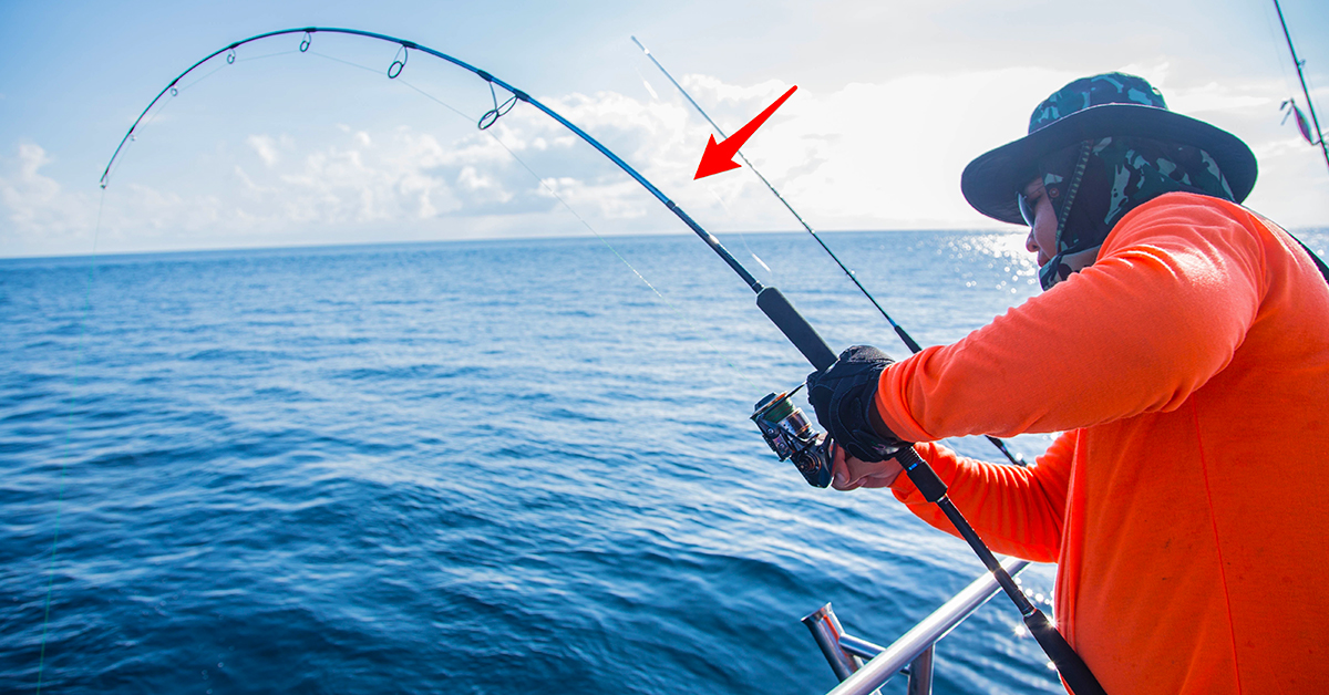http://Saltwater%20Fishing%20Rods%20Guide