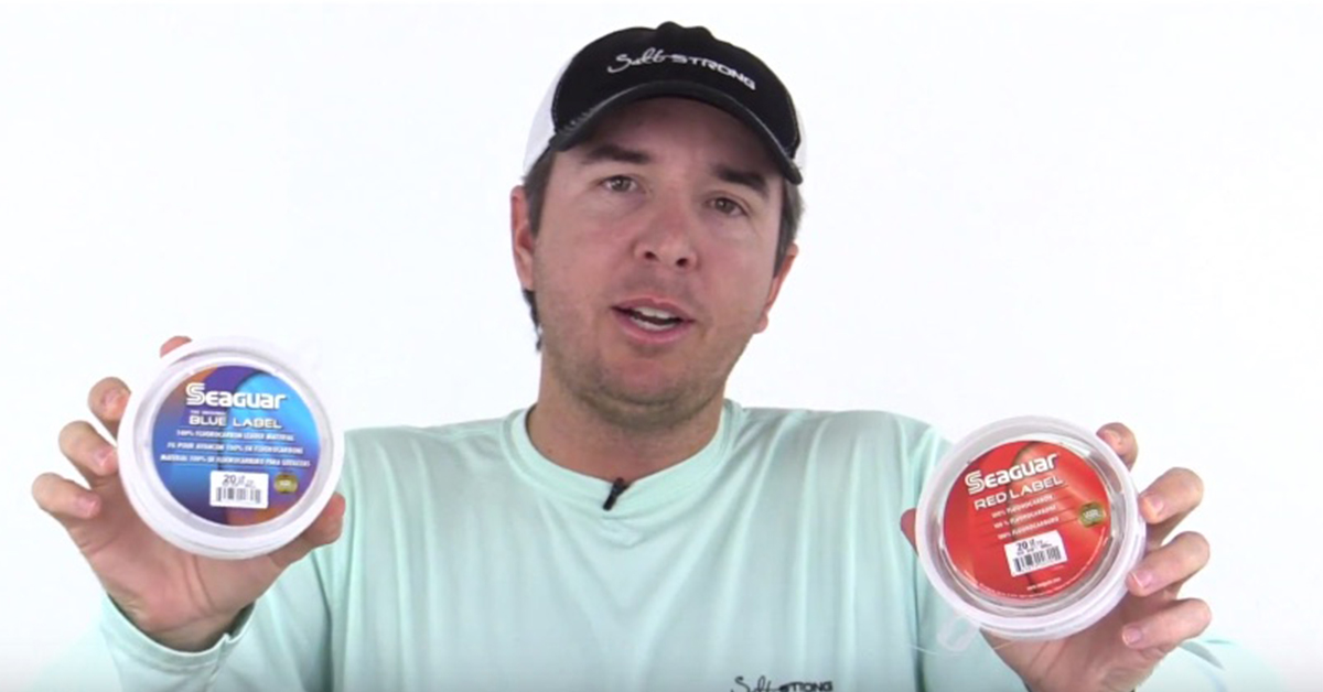 http://seaguar%20leader%20line%20test