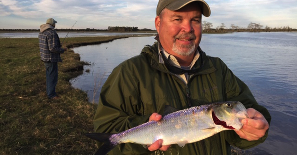 http://how%20to%20catch%20shad