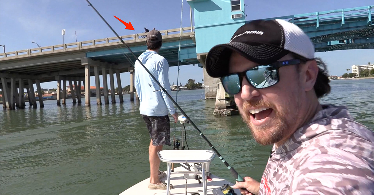 http://sheepshead%20and%20snapper%20on%20demand