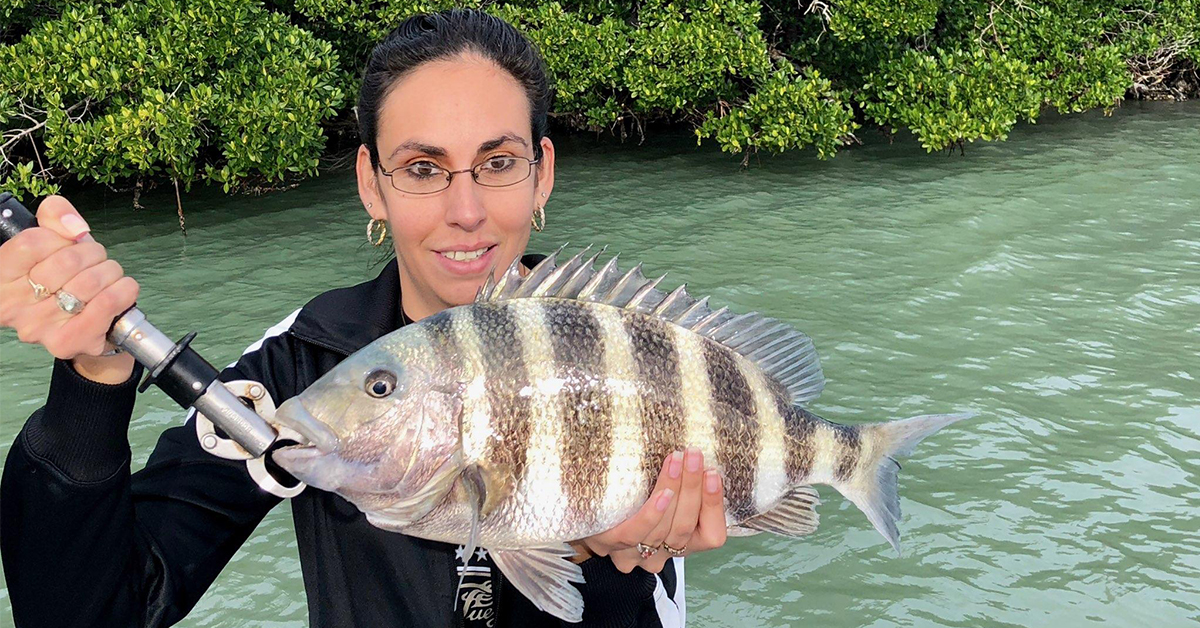 how to catch sheepshead