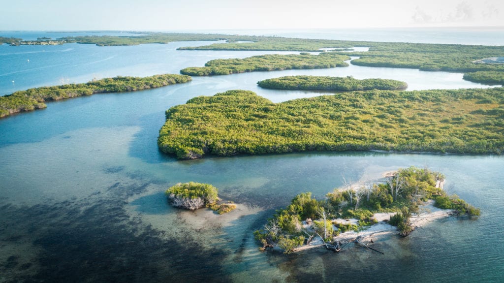indian river lagoon fishing