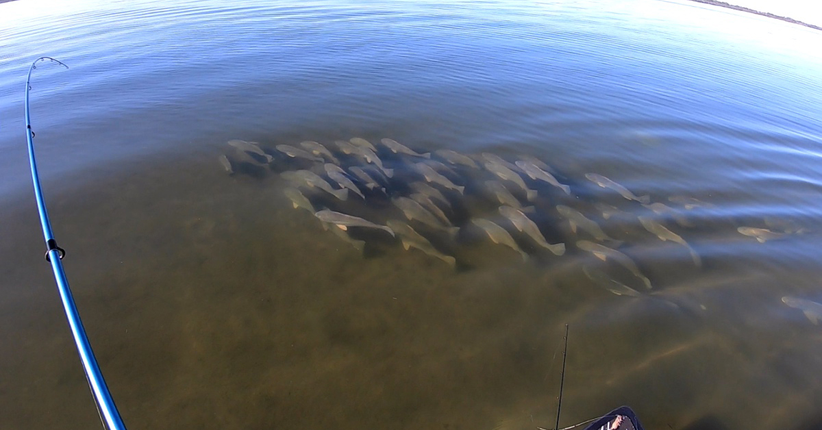 http://sight%20fishing%20mistakes