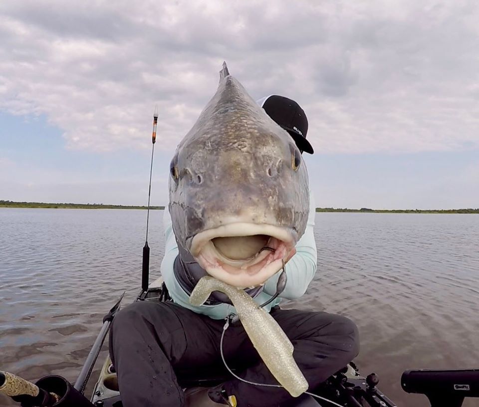 slam shady black drum