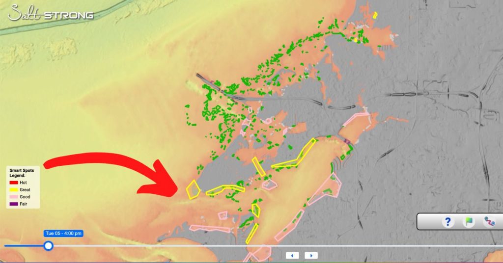 tool predicts where to find feeding fish