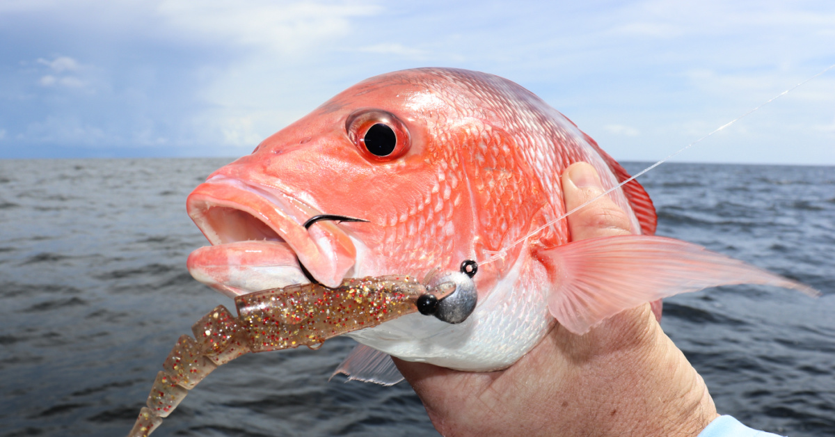 http://best%20ways%20to%20use%20the%20power%20prawn