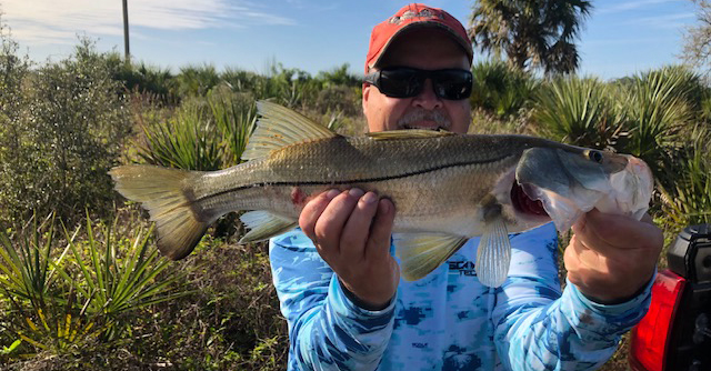 snook in creek
