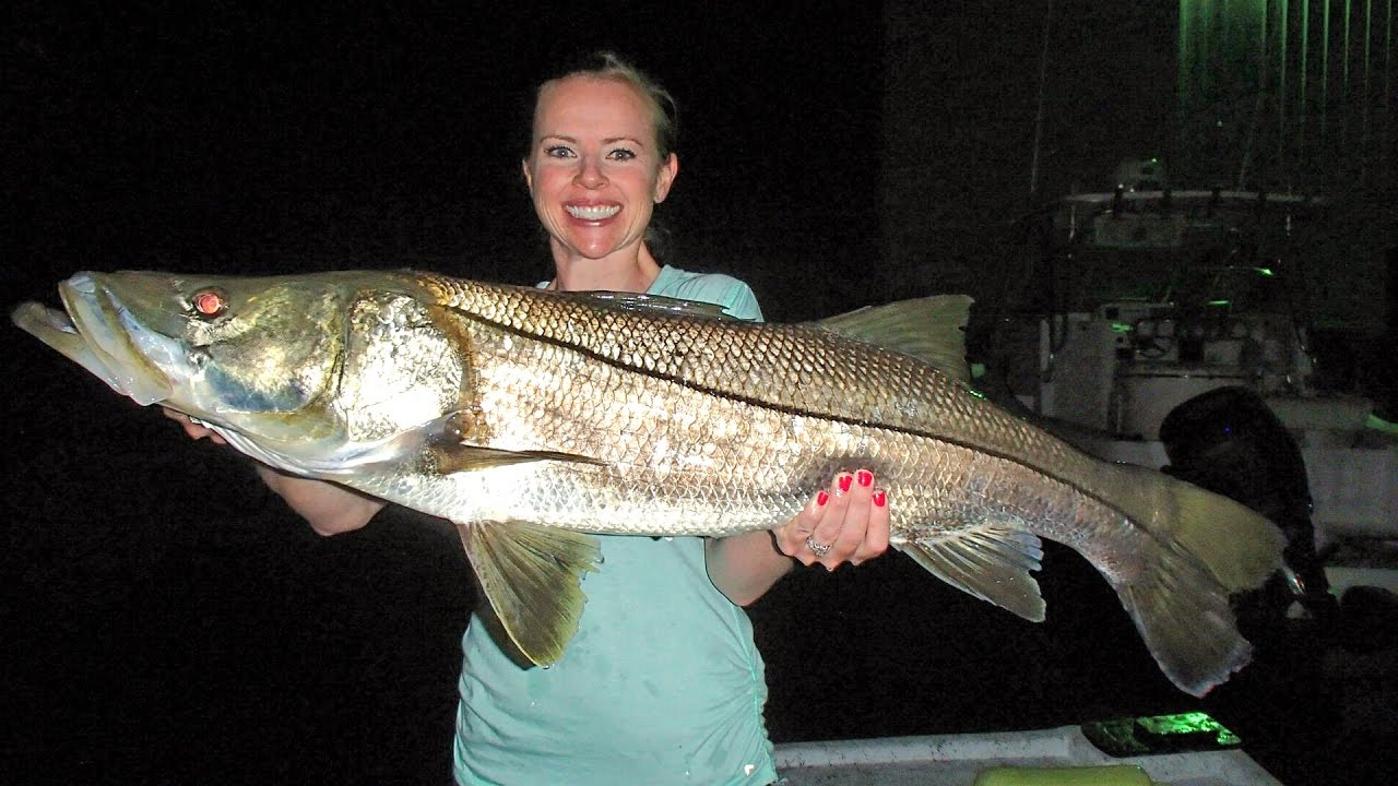 mad snooker monster snook