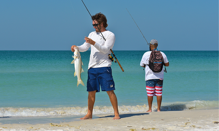 beach rig for snook
