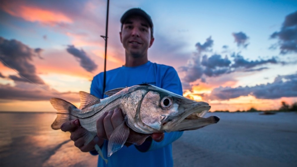 catch snook from the beach
