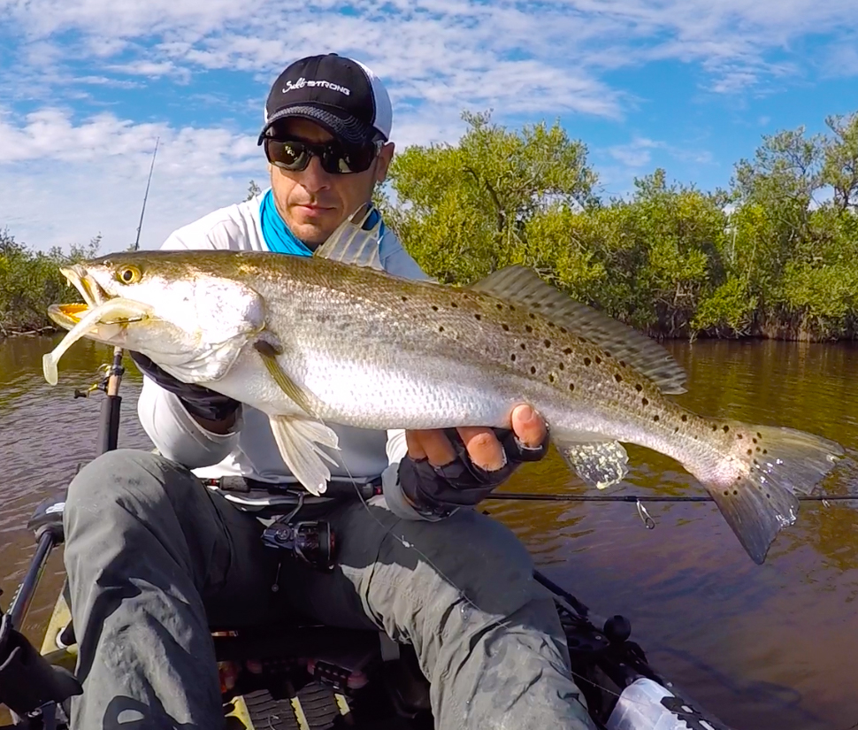 salt strong trout