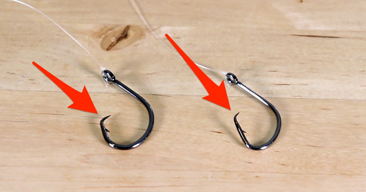 http://stop%20gut%20hooking%20fish%20with%20circle%20hooks