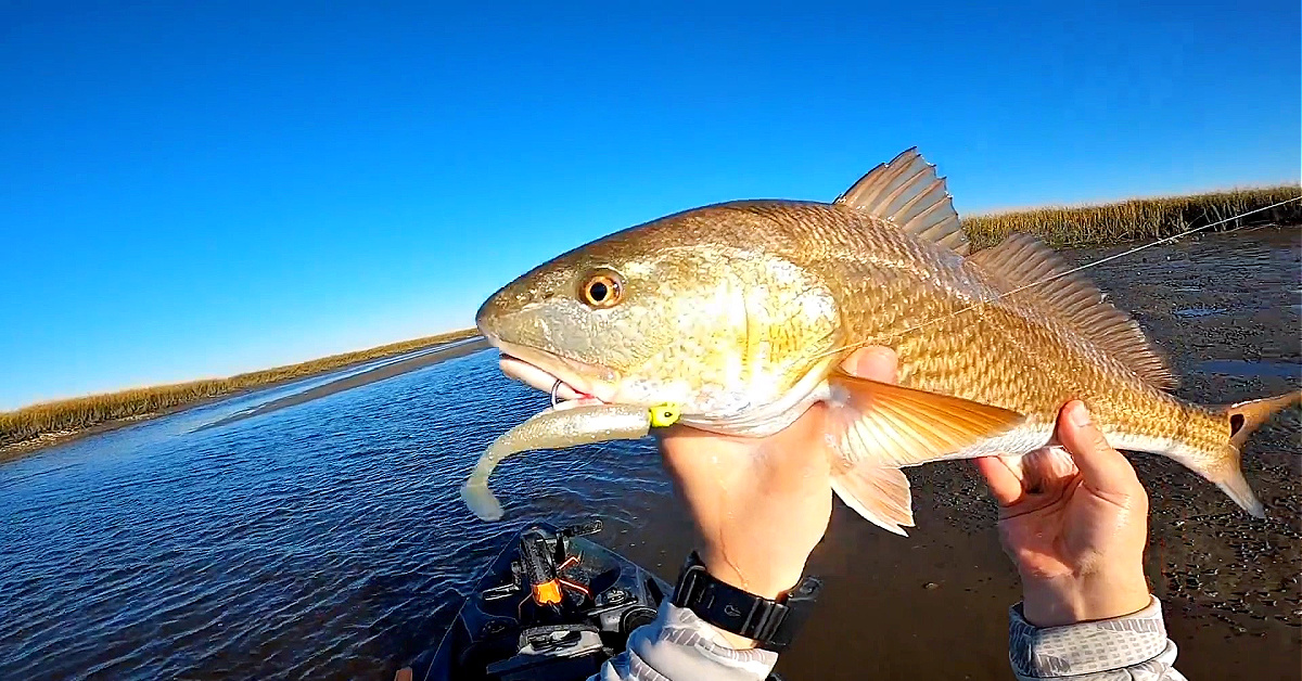 http://stop%20fishing%20dead%20zones%20in%20winter