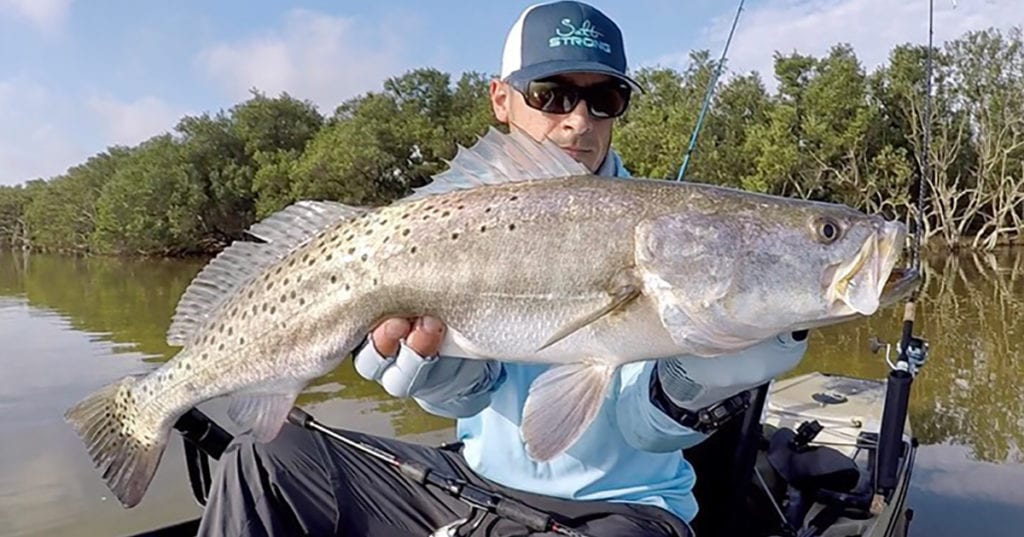 inshore trout spots