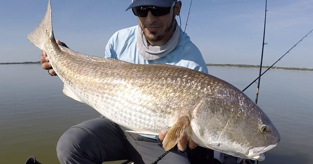 revive redfish