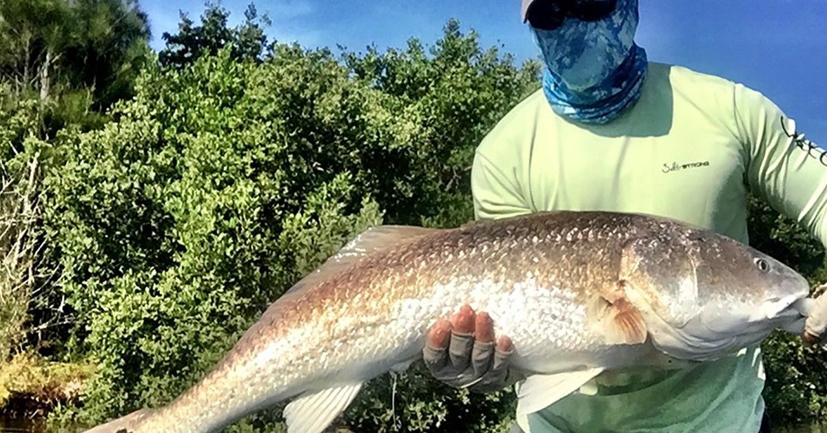 http://how%20to%20not%20get%20skunked