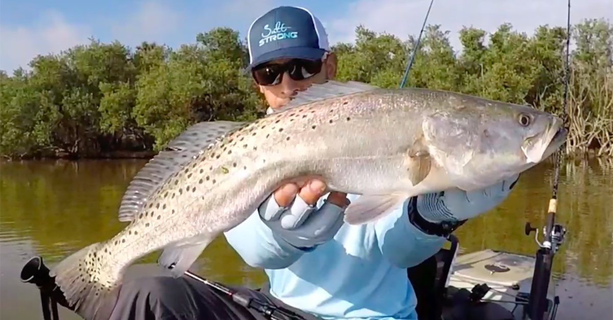 http://how%20to%20catch%20big%20fish%20clear%20shallow%20water