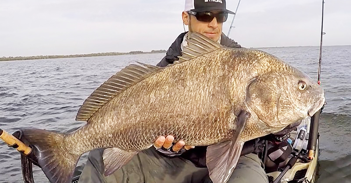 http://rig%20cut%20bait%20for%20black%20drum%20bull%20redfish