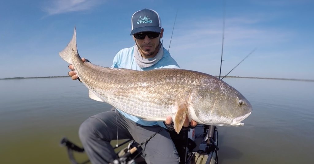 live bait hack