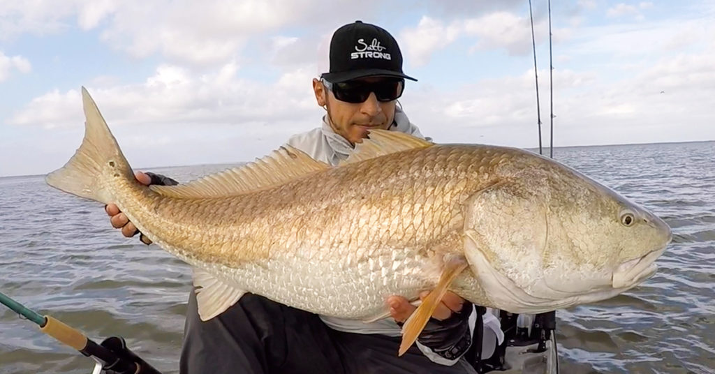 fall redfish