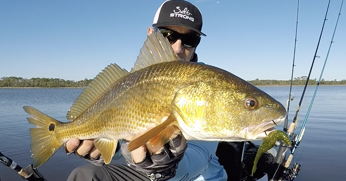 http://catch%20redfish%20in%20new%20spot