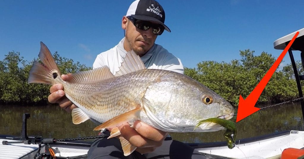 jerk shad rigging tip