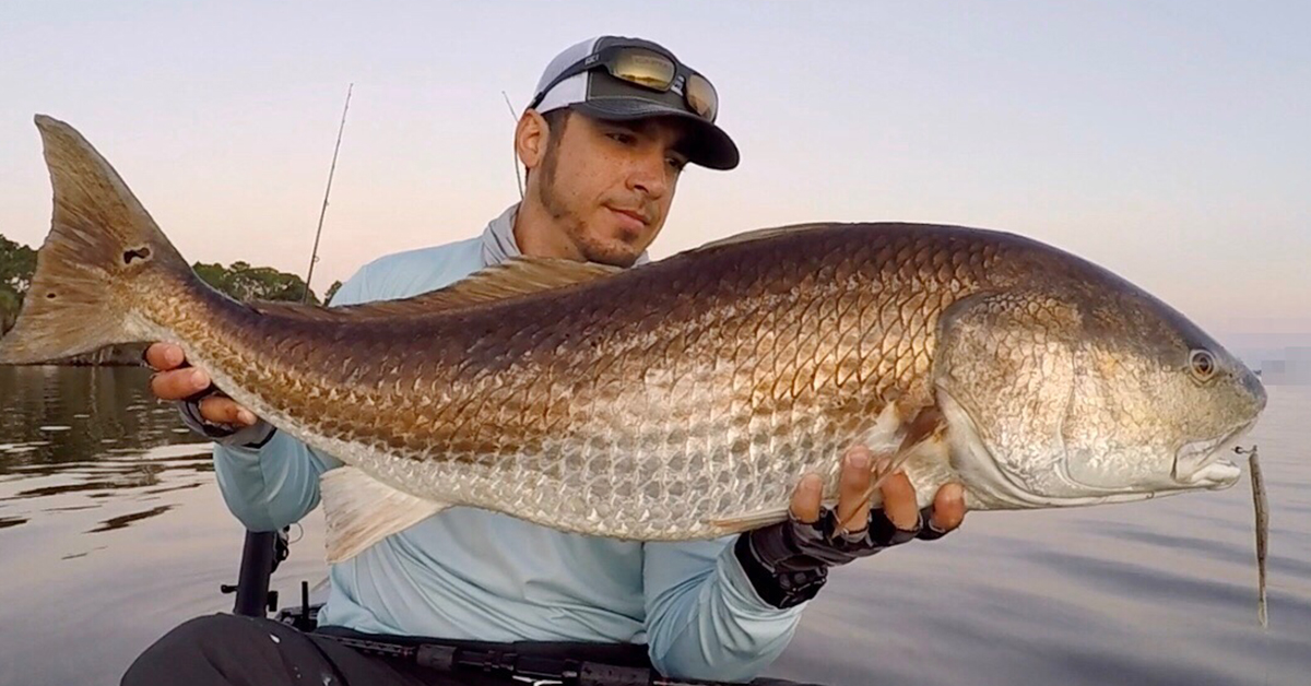 http://skip%20cast%20from%20kayak