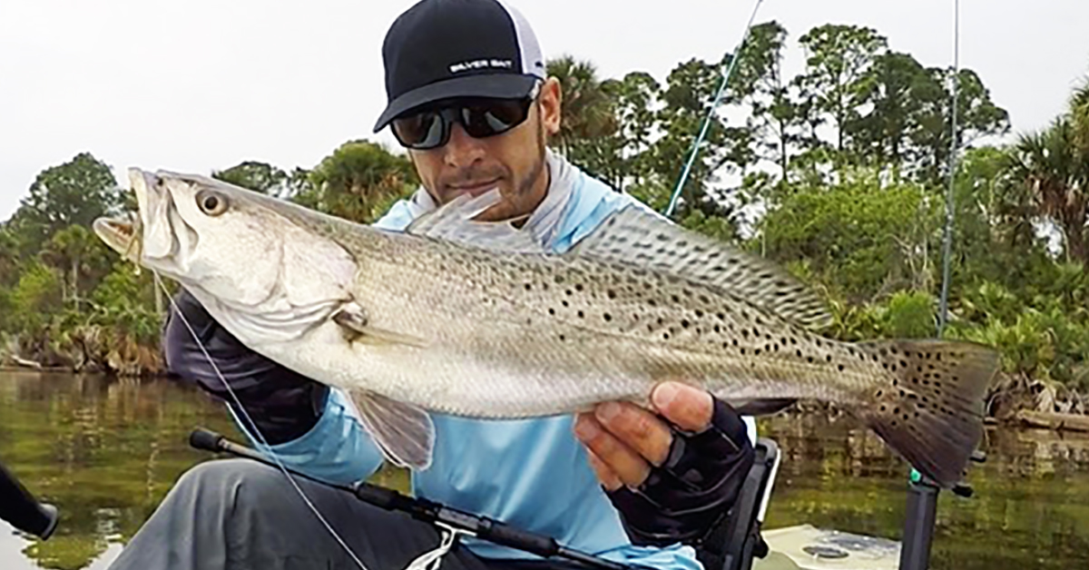 http://sight%20fishing%20trout
