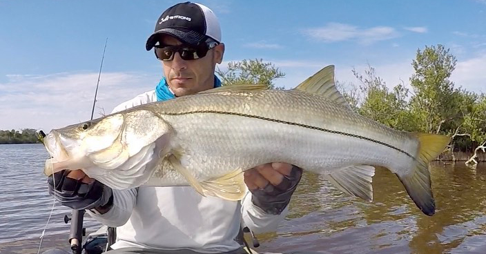 snook fishing