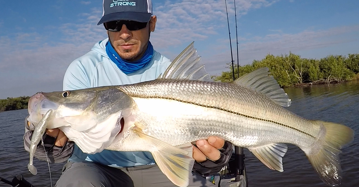 http://artificial%20lure%20mistake