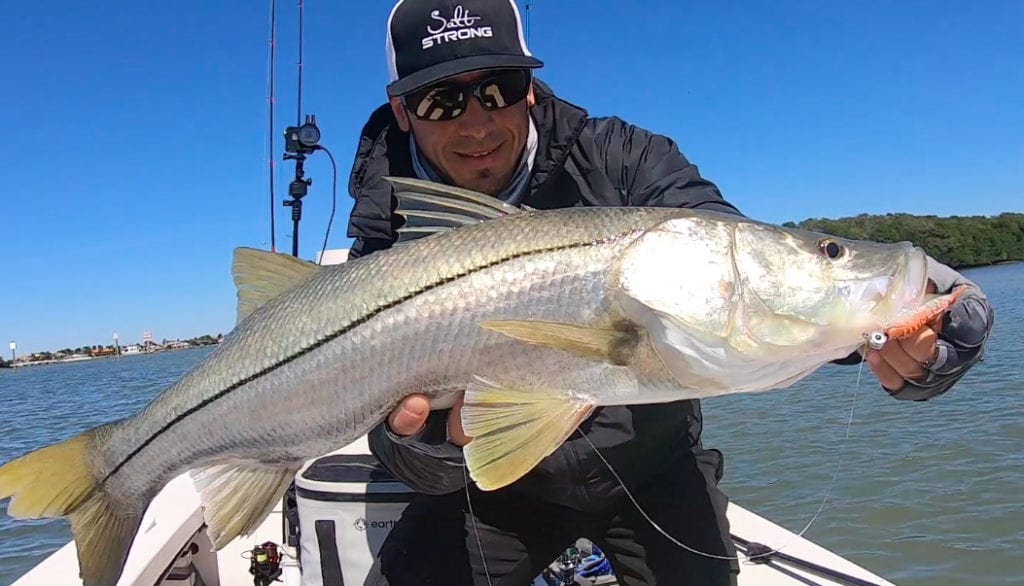 tournament snook on gulp