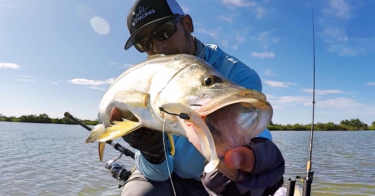 http://how%20to%20fish%20mangroves%20for%20snook