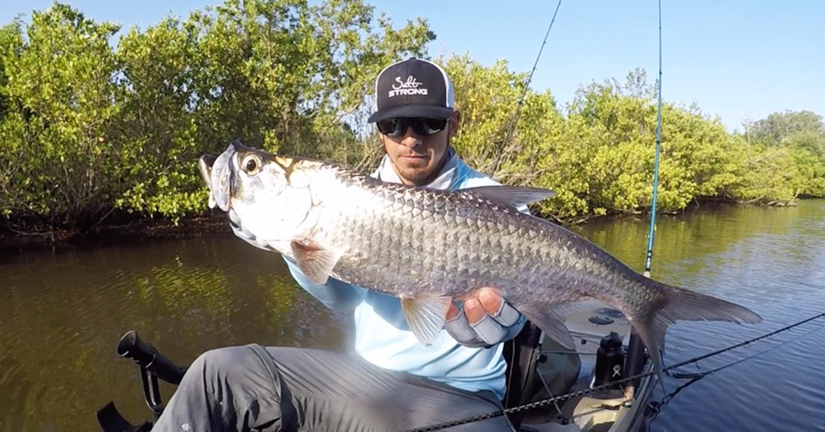 http://best%20juvenile%20tarpon%20lure
