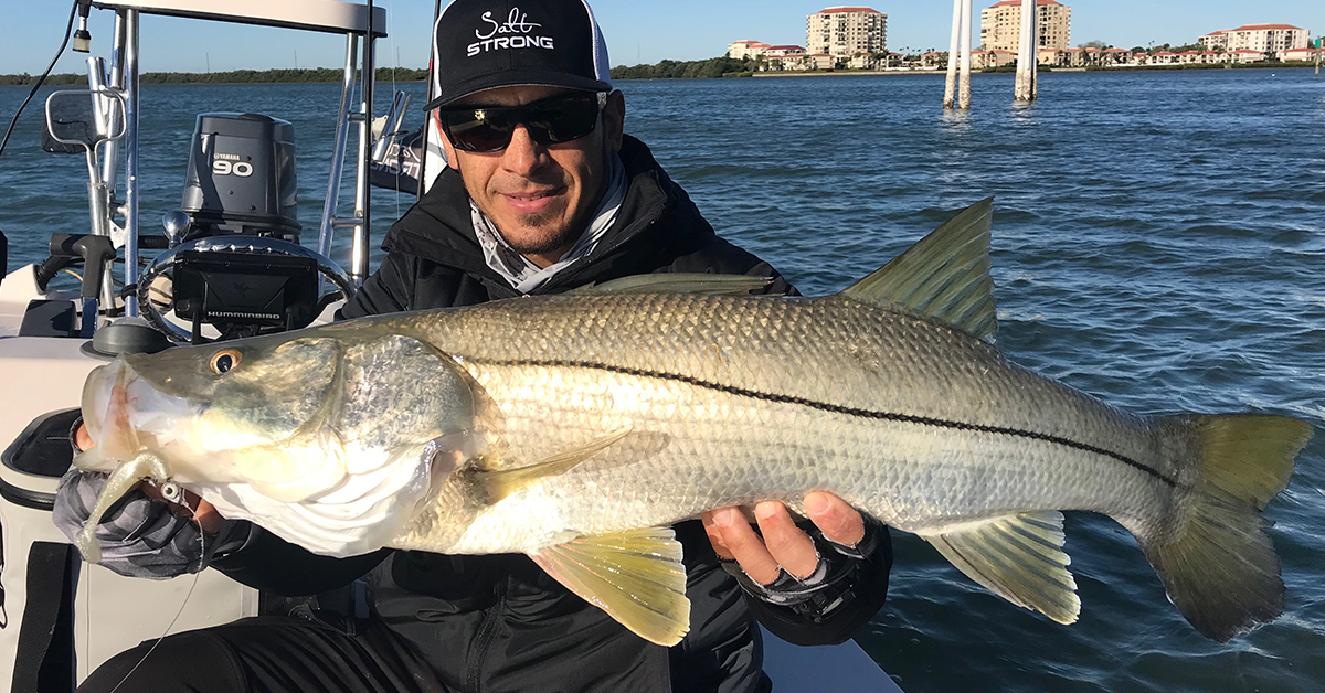 http://inshore%20slam%20tournament%20snook