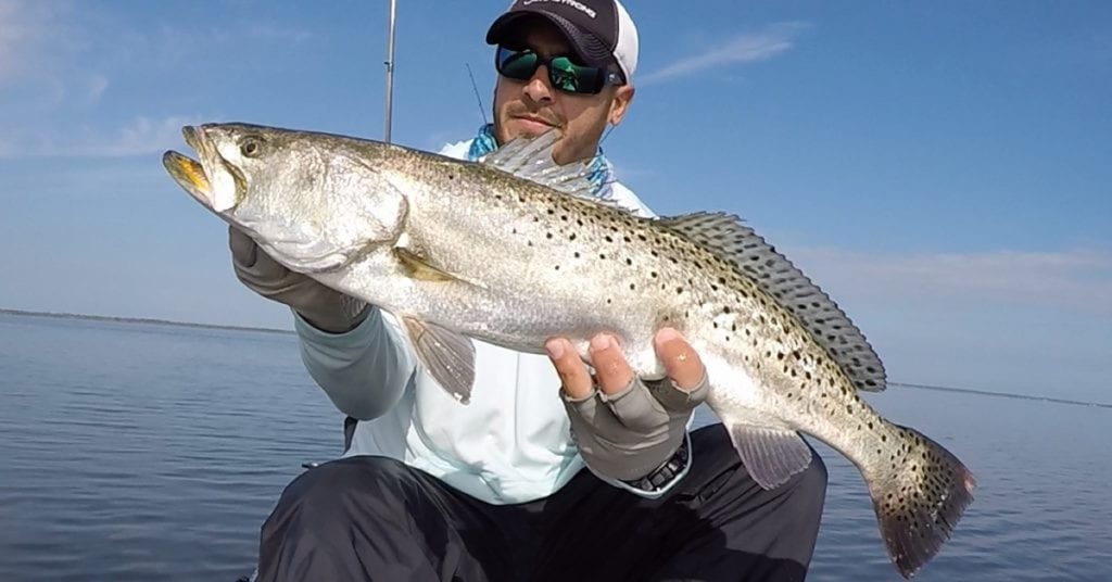 gator trout