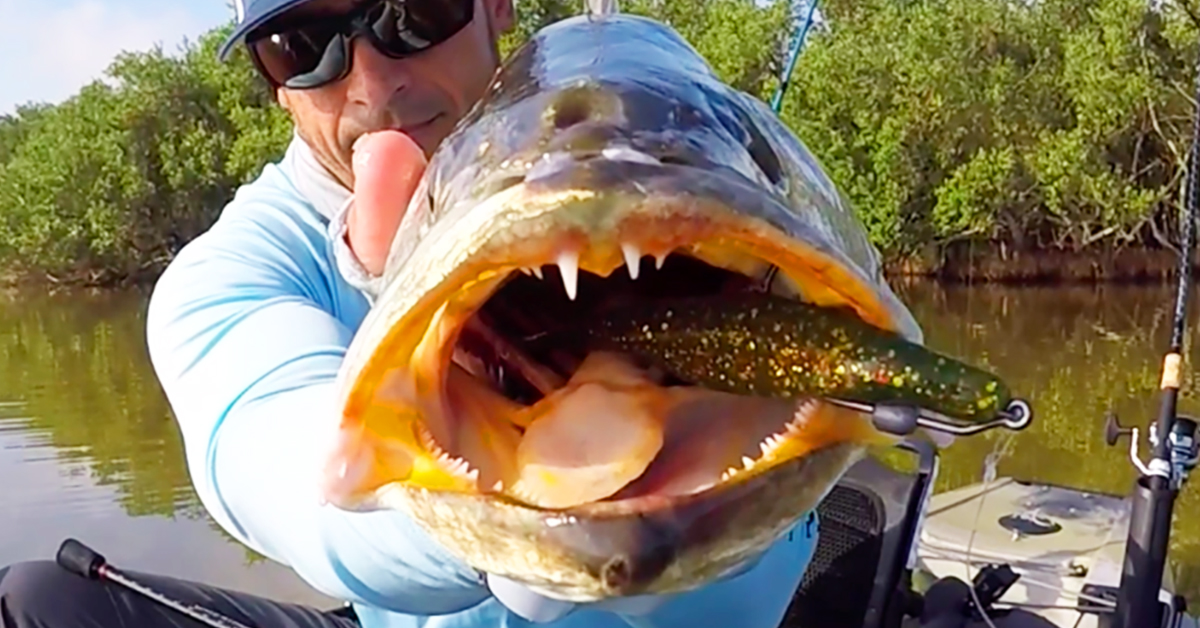 http://best%20fall%20fishing%20lures