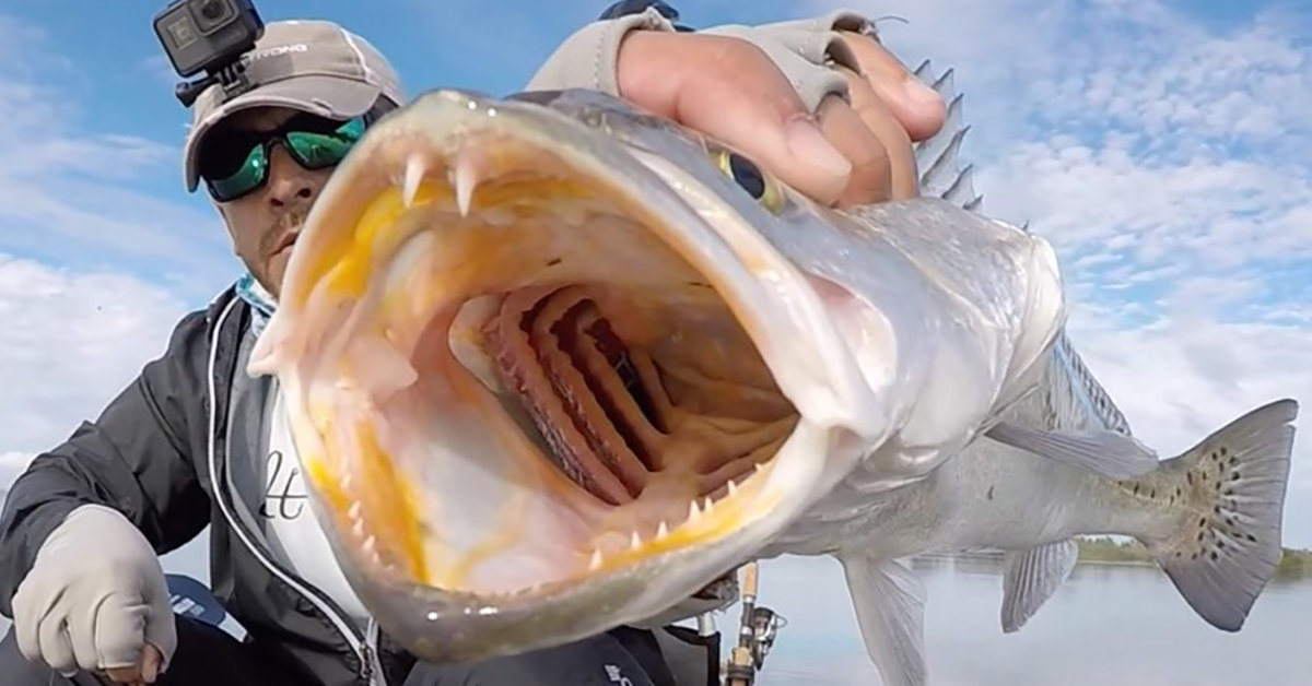 http://how%20to%20catch%20trout%20after%20a%20cold%20front