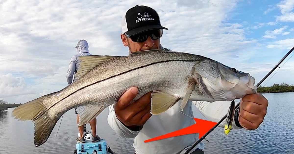 http://topwater%20fishing%20lure%20mistake