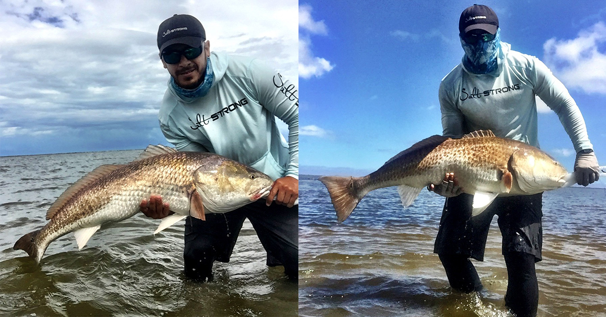http://amazing%20redfish%20story