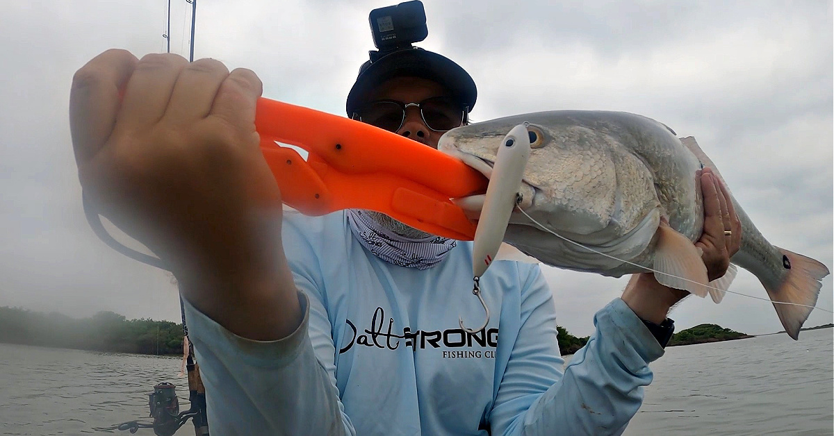 http://i%20fished%20with%20topwater%20lures%20for%20a%20year%20and%20this%20is%20what%20I%20learned
