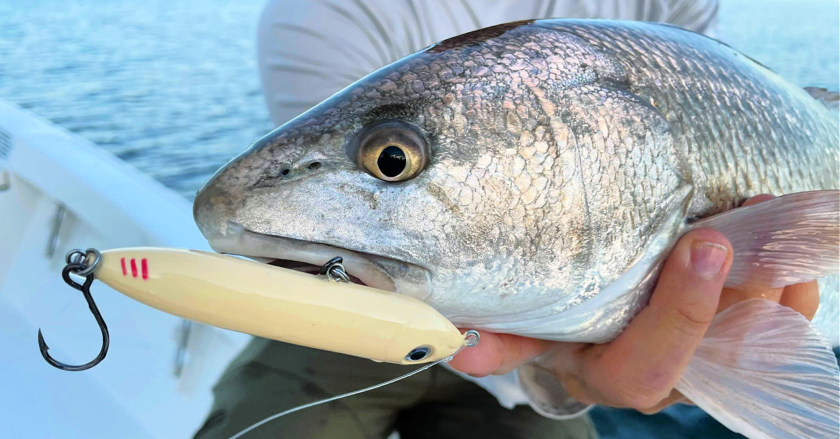 http://catch%20more%20fish%20on%20topwater%20lures