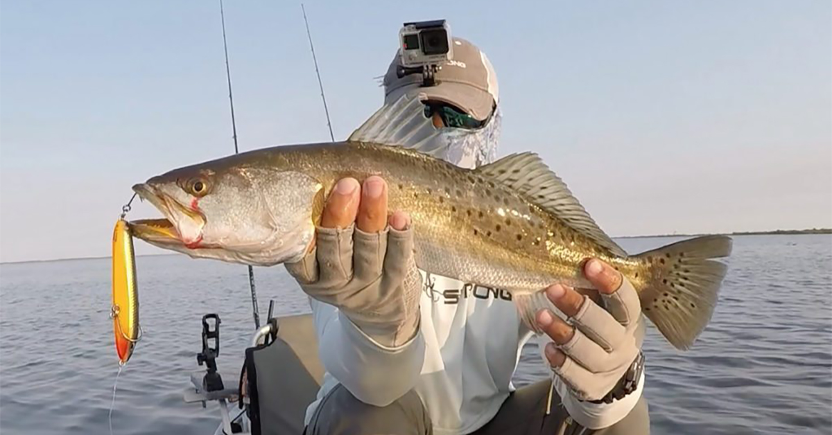 http://catch%20topwater%20trout