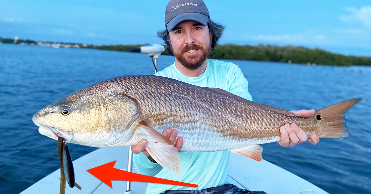 http://best%20topwater%20retrieve%20speed