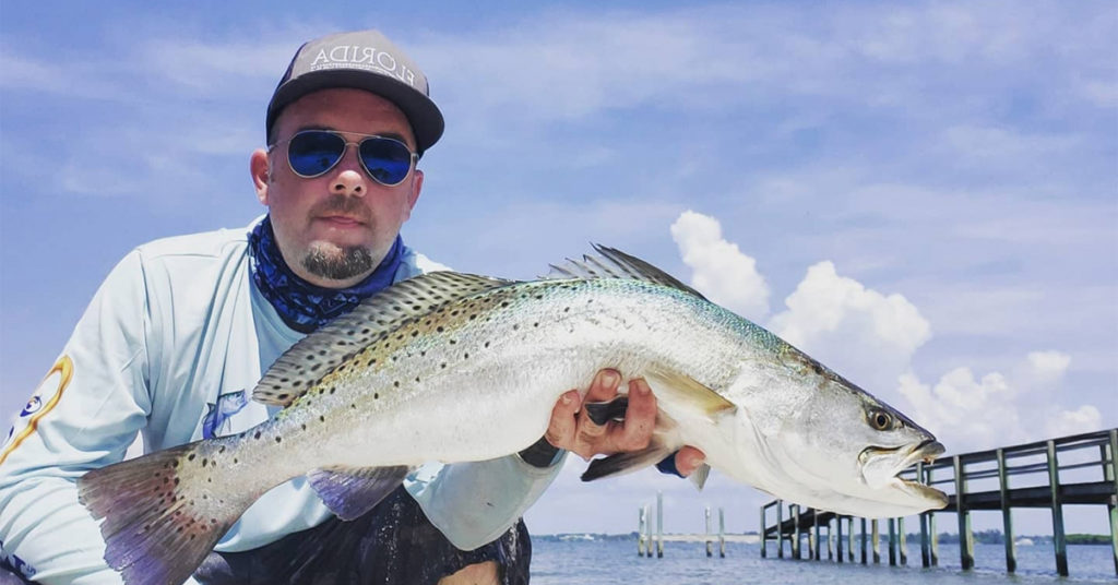 slam shady trout