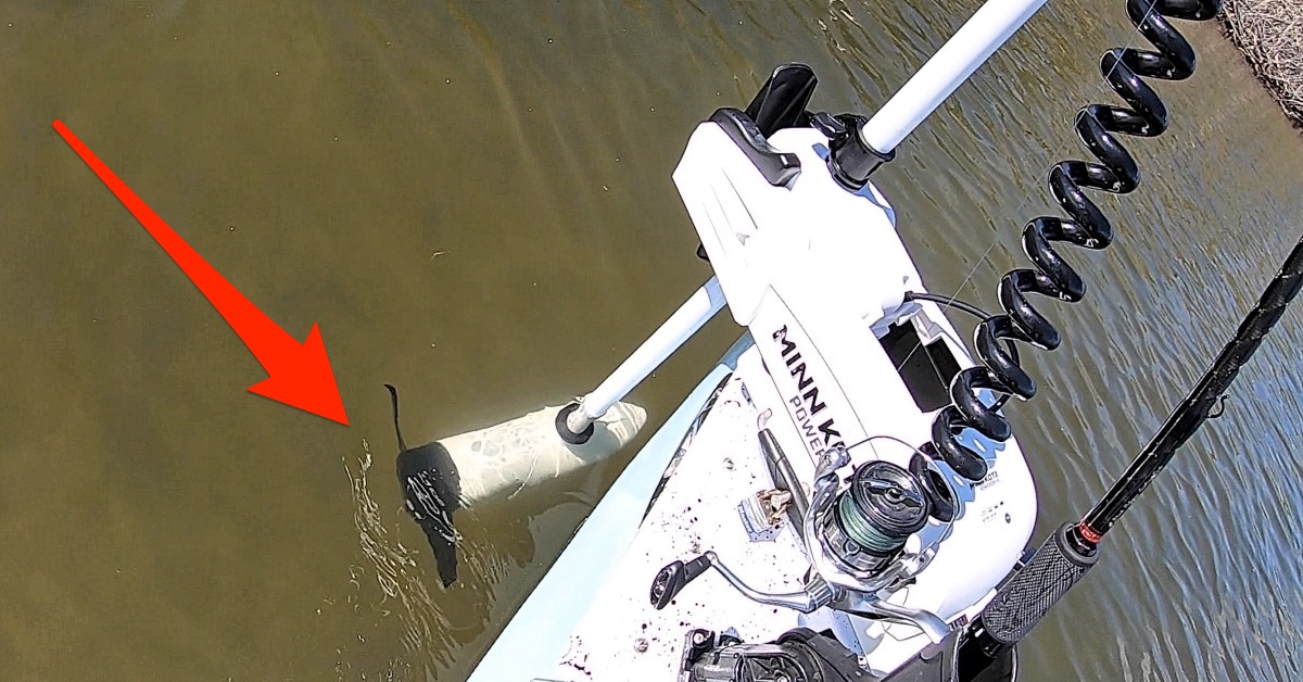 http://worst%20saltwater%20trolling%20mistakes