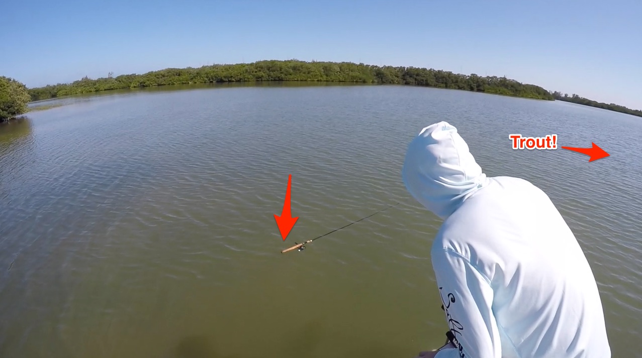 speckled trout steals rod