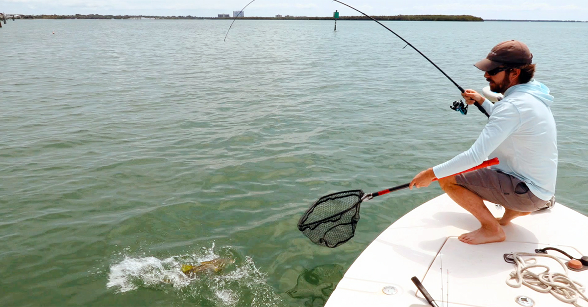 http://use%20a%20net%20to%20land%20big%20fish
