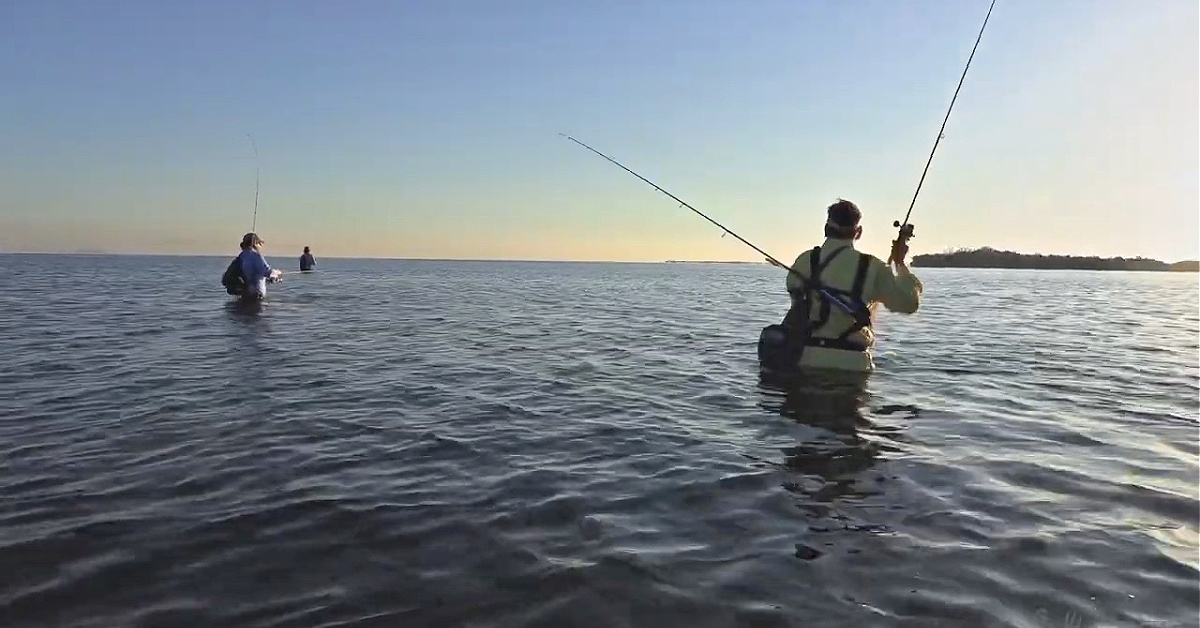 http://wade%20fishing%20with%20wader%20dave
